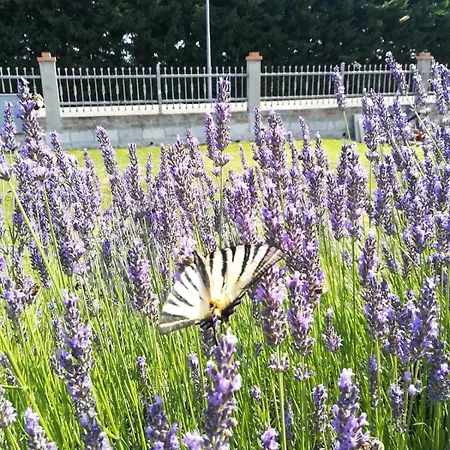 Lavanda - Casa Nel Delta Del Po Appartement *