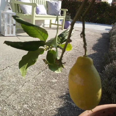 Lavanda - Casa Nel Delta Del Po Appartement Ca Zuliani