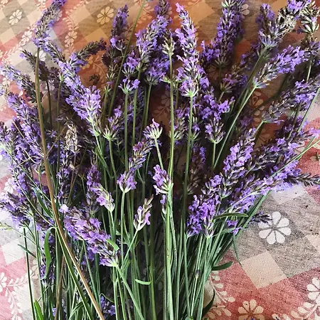 Appartement Lavanda - Casa Nel Delta Del Po Ca Zuliani